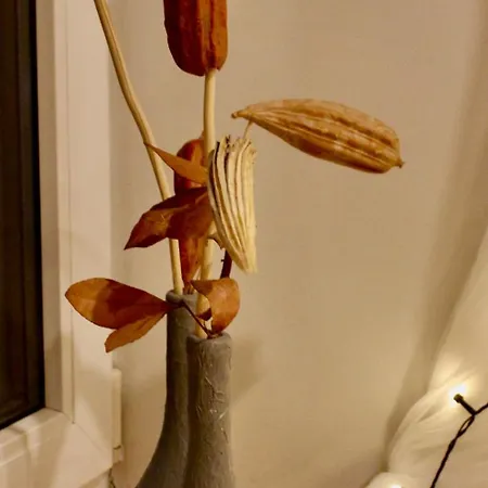 Gaiss Un Majigs Dzivoklis Apartmán *