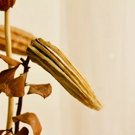 Lejlighed Gaiss Un Majigs Dzivoklis *