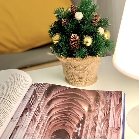 Gaiss Un Majigs Dzivoklis Apartament