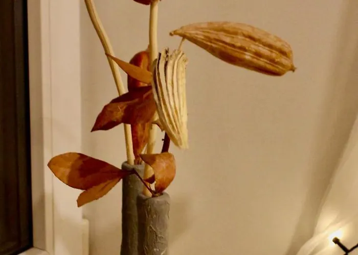 Gaiss Un Majigs Dzivoklis Apartment *