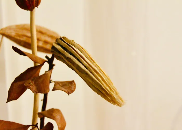 Apartment Gaiss Un Majigs Dzivoklis *