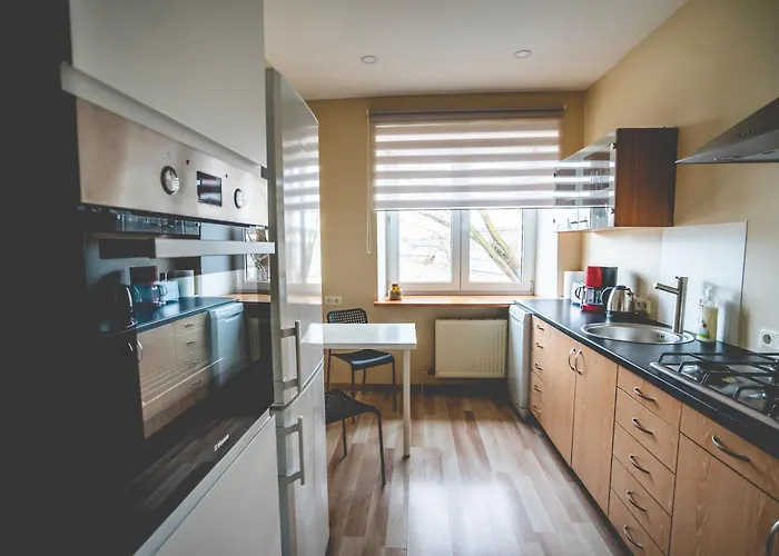 Gaiss Un Majigs Dzivoklis * Riga