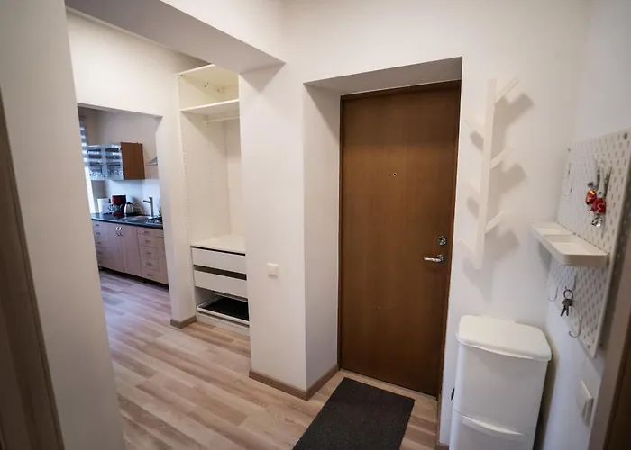 Gaiss Un Majigs Dzivoklis * Riga