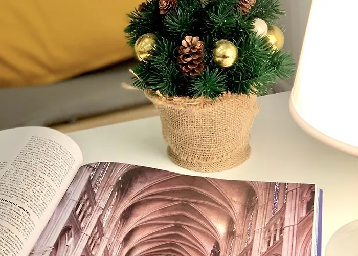 Gaiss Un Majigs Dzivoklis Apartment