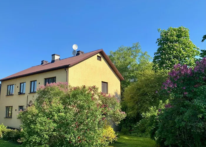 Gaiss Un Majigs Dzivoklis *