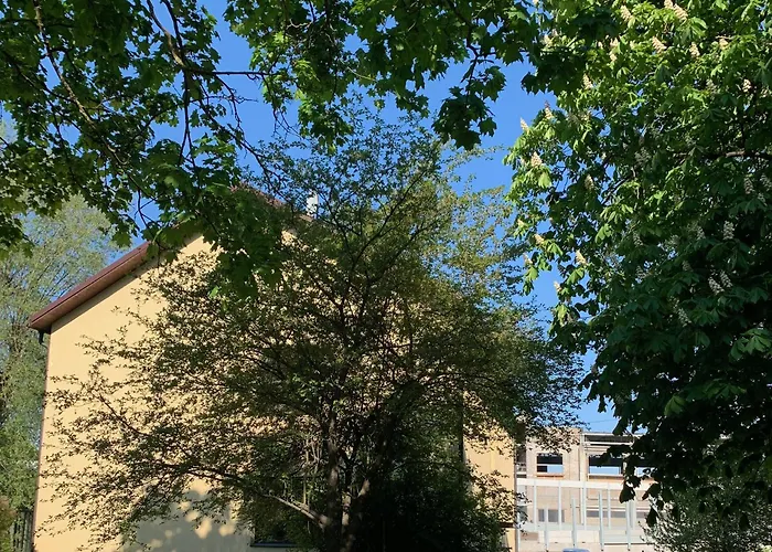 Gaiss Un Majigs Dzivoklis