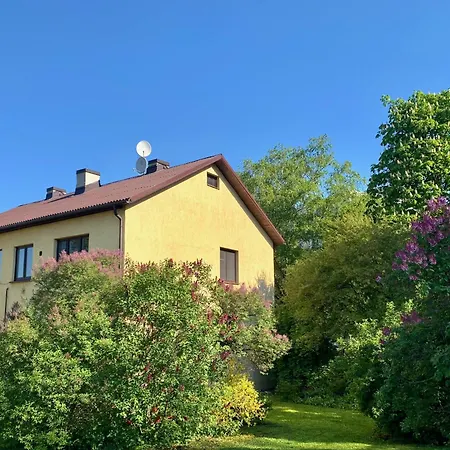 Gaiss Un Majigs Dzivoklis *